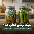 گزارش تصویری ترشی