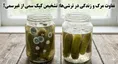 گزارش تصویری ترشی