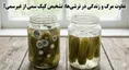 گزارش تصویری ترشی